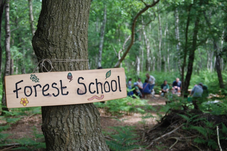 forest_school_2_roydon_wood_fair_2013_by_nat_light_17